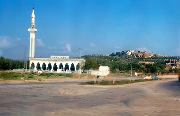 في اليوم العالمي للبيئة.. أحمد الطلحي يدعو إلى جبهة مدنية لحماية غابات طنجة