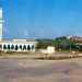 في اليوم العالمي للبيئة.. أحمد الطلحي يدعو إلى جبهة مدنية لحماية غابات طنجة