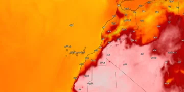 موجة الحر تتواصل بالمغرب ووجدة تسجل 46 درجة اليوم الأحد