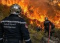 حرائق عنابة تدفع لإخلاء 150 منزلاً وإصابة أكثر من 100 شخص في شمال شرق الجزائر