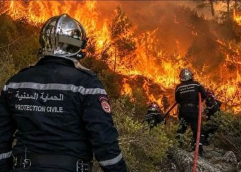 حرائق عنابة تدفع لإخلاء 150 منزلاً وإصابة أكثر من 100 شخص في شمال شرق الجزائر