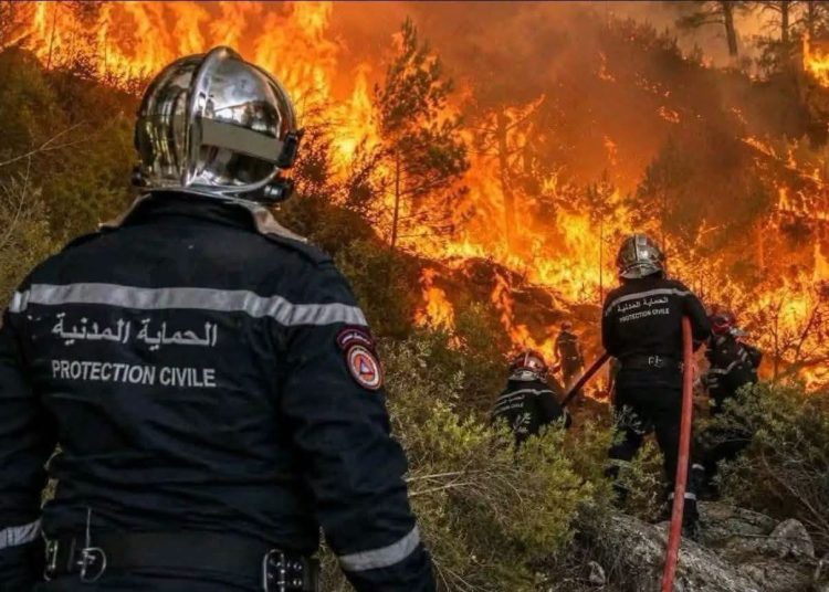 حرائق عنابة تدفع لإخلاء 150 منزلاً وإصابة أكثر من 100 شخص في شمال شرق الجزائر