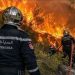 حرائق عنابة تدفع لإخلاء 150 منزلاً وإصابة أكثر من 100 شخص في شمال شرق الجزائر