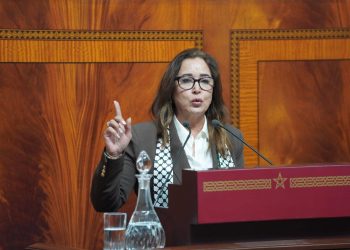 التامني تنتقد خلط الحكومة بين المسؤولية التنفيذية والحملة الانتخابية