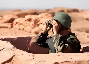أرامل شهداء الوحدة الترابية .. معركة أخرى خاضتها النساء بصمت