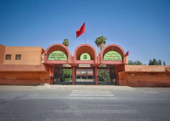 جامعة القاضي عياض تتصدر الجامعات المغربية والمغاربية في تصنيف Webometrics 2026