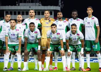 رصاصة برقوق ورأسية هوجا تعبر بالرجاء إلى المجموعات