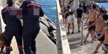 بعد إنتشار فيديو تحريض كلب الحراسة على الأطفال شركة حراسة مارينا أكادير تعتذر وتوقف المعنيين نهائيا