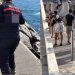 بعد إنتشار فيديو تحريض كلب الحراسة على الأطفال شركة حراسة مارينا أكادير تعتذر وتوقف المعنيين نهائيا