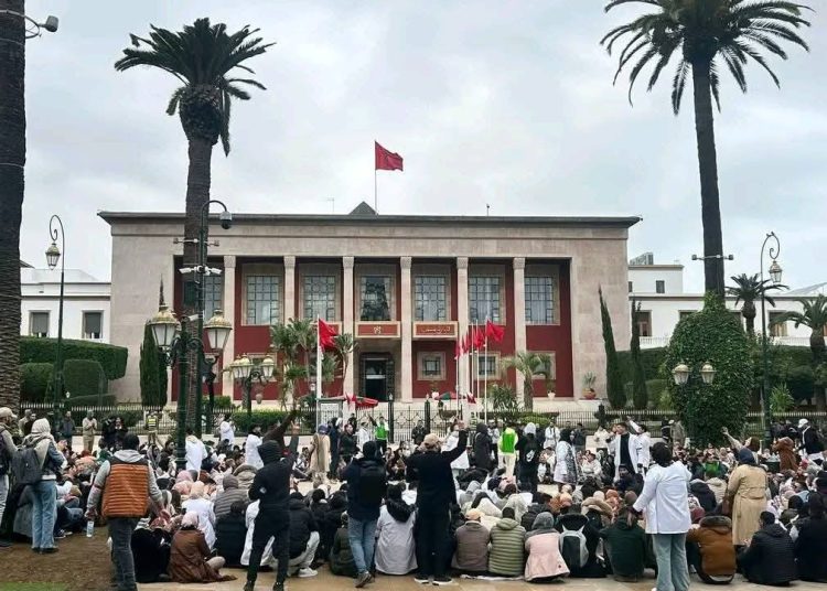 المنصوري داخل البرلمان.. والزرواطة خارجه!
